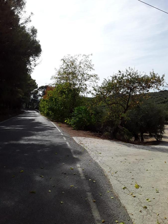 Hacienda La Buena Vida B&B En Appartementen Algarinejo Buitenkant foto